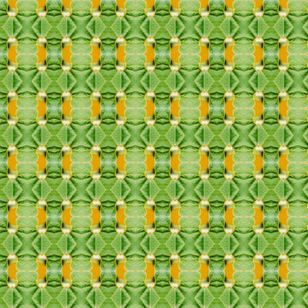 Abstract pattern and sameless backgroundの写真素材