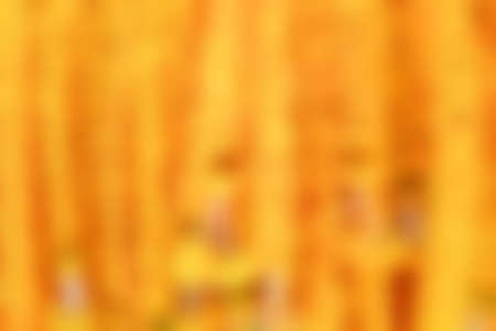 Abstract blur natural yellow backgroundの写真素材
