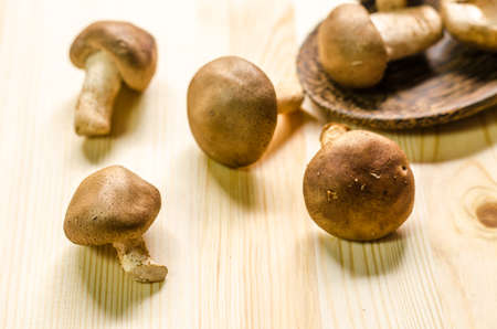 fresh shiitake mushrooms isolated on wooden table backgroundの写真素材