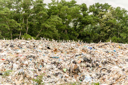 SONGKHLA, THAILAND - AUGUST 4: Municipal waste disposal by open dump procese.  Dump site at Hatyai Songkhla on AUGUST 4, 2015 in SONGKHLA PROVINCE THAILANDのeditorial素材