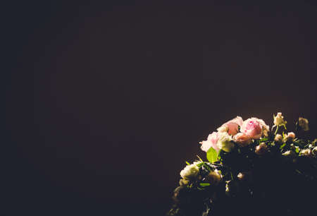 Abstract blurred and retro decoration of flowers. Rosesの写真素材