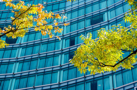 tree shade and building in business zoneの写真素材