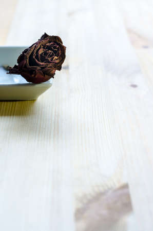 Dry rose signifies lost love, bad valentine, broken heartの写真素材