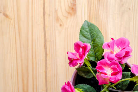 Beautiful artificial flowers on wooden backgroundの写真素材