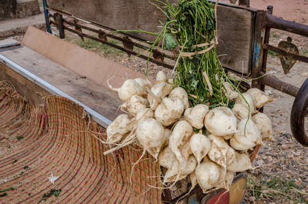 Jicama in markets,Thailand