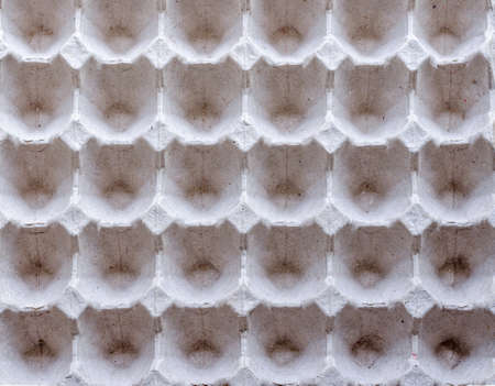 carton package for eggsの写真素材