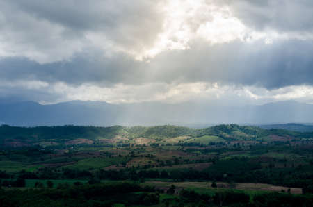 landscape with green field green mountain, traces of tractor in sun rays