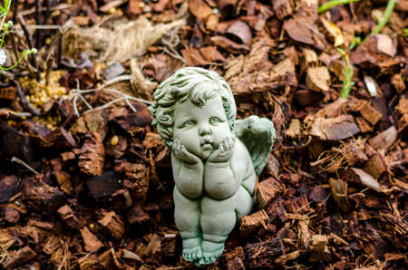 Little angle look like lonely in the garden: soft focusの写真素材