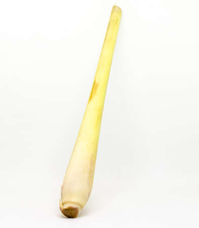 lemon grass on white backgroundの写真素材