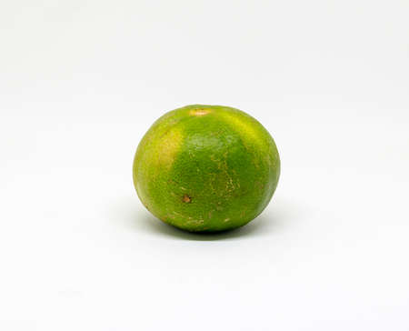 fresh lime lemon isolate picture, lime lemon on white backgroundの写真素材