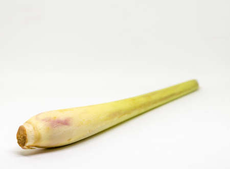 lemon grass on white backgroundの写真素材