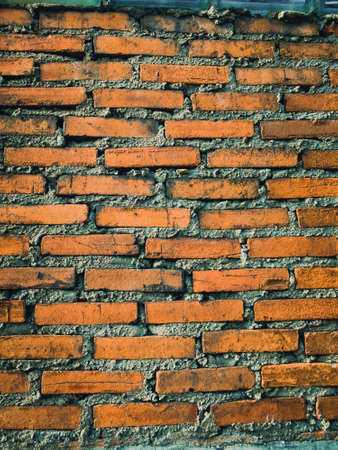 Old and grunge cement wallの写真素材