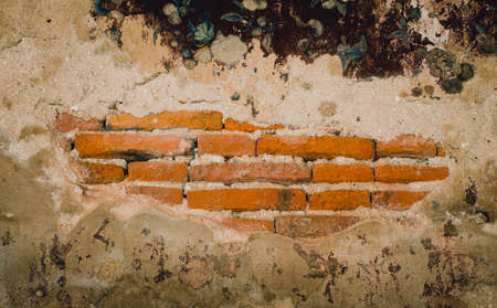 Old and grunge cement wallの写真素材