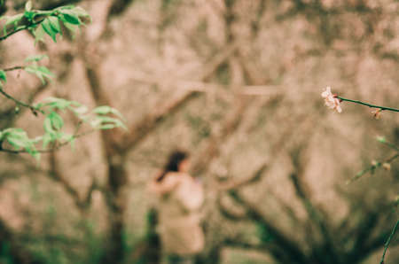 Abstract blur of women tourist and peach flowers blooming background, cinematic tone picture