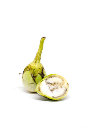 Thai eggplant, the main Thai food ingredient in white backgroundの写真素材