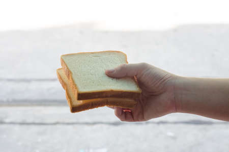 Sandwich in women hand and bure backgroundの写真素材