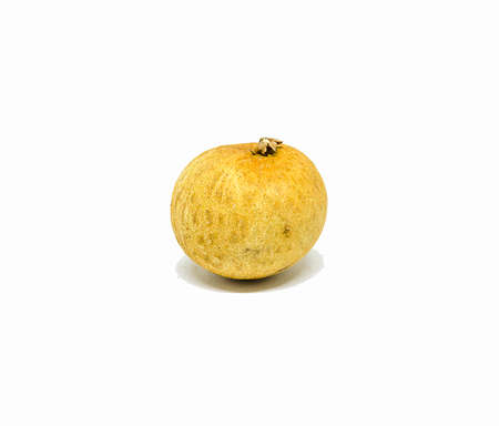 Longan sweet fruit on the white backgroundの写真素材