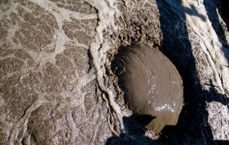 waste water sludge in waste water process