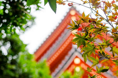 The pagoda in Tocho-ji temple or Fukuoka Giant Buddha temple in Fukuoka, Japanのeditorial素材