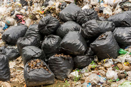 BUENGKAN PROVINCE, THAILAND-JUNE 5 2018, Waste from household in waste landfill. Food Waste disposal in dumping site in THAILANDのeditorial素材