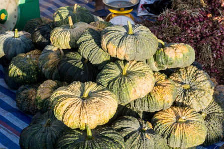 Fresh pumpkin in the fresh morning market in Thailandの写真素材