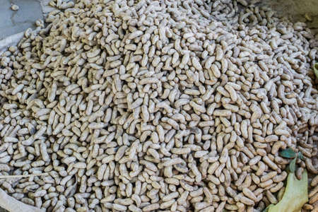 Fresh peanut in the fresh morning market in Thailand