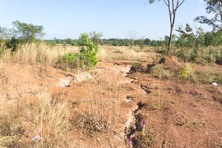 Dry background or dry soil backgroundの写真素材