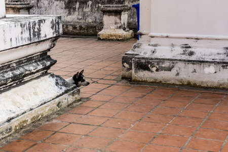 Buddhist place in Thailand, Thai temple in the local place. Public placeの写真素材