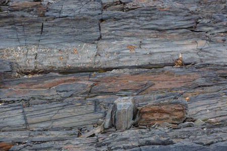 The texture of the north underwater rocks at low tideの写真素材
