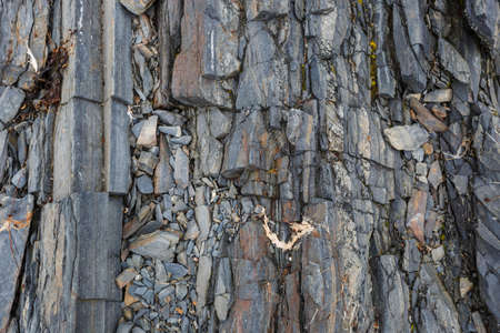 The texture of the north underwater rocks at low tide
