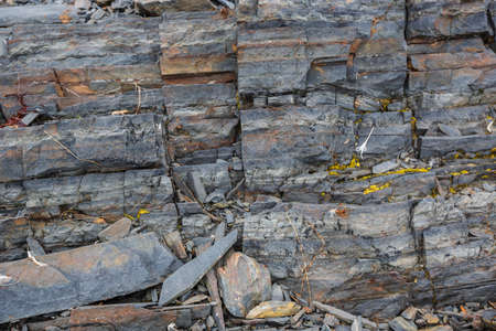 The texture of the north underwater rocks at low tide