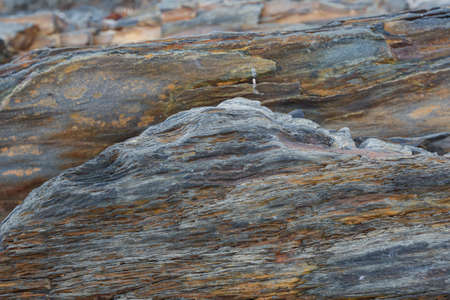 The texture of the north underwater rocks at low tideの写真素材