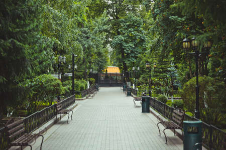 alley in the park of the Moscow monasteryの写真素材