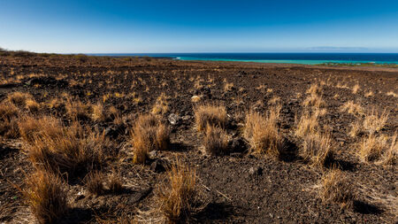 Volcanic field  on the island of Big Island with ocean at the endの写真素材