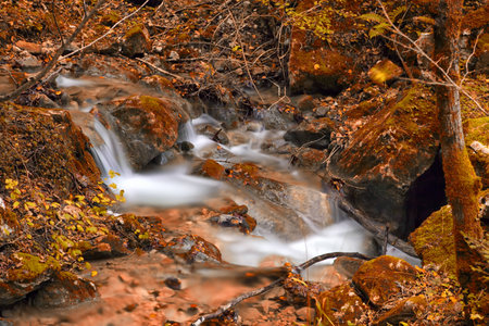 Long exposure picture of a waterfall surrounded by autumn vegetation with brown colorsの写真素材