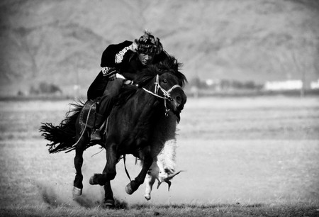 MONGOLIAN FREE HORSES RUNNIG IN THE WILDERNESS OF SNOWY MONGOLIA