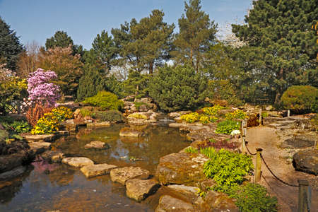 A garden pond is an attractive feature and will enhance most gardens, and encourage wildlife. の写真素材