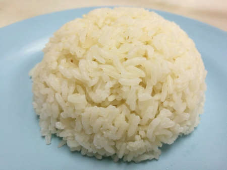 A dish adapted from early Chinese immigrants originally from Hainan province in southern China.の素材