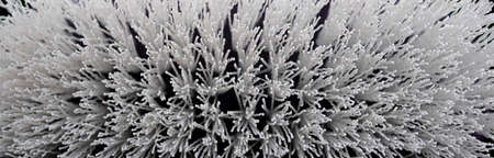 Close up of a brush with its bristles
