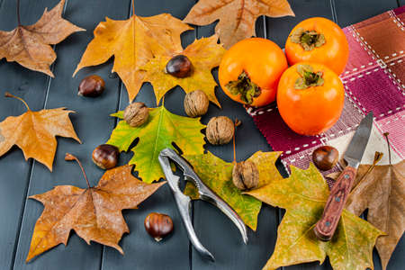 Autumn leaves of various colors with nuts, chestnuts, hazelnuts and almonds on a gray wooden board,...