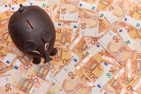 Conceptual. Piggy bank to introduce small savings on a pile of fifty euro billsの写真素材