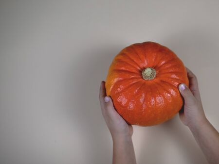 Little hands holding a little pumpkin.の写真素材
