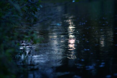 sunset flare on the water in the lake.の写真素材