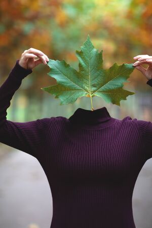 Girl holding autumn green maple leaf instead of the head.の写真素材