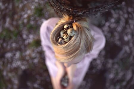 Quail eggs in a nest of hair, top view.の写真素材