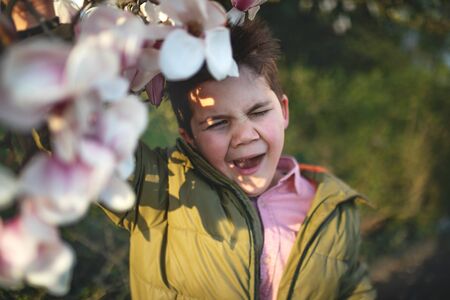 Boy and blooming magnolia.の写真素材