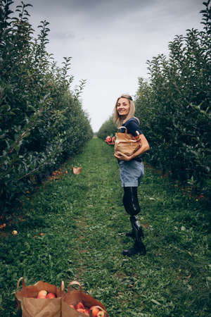 Disabled happy woman without legs picks applesの写真素材