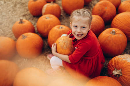 Happy girl holding a big pumpkin in her hands.の写真素材