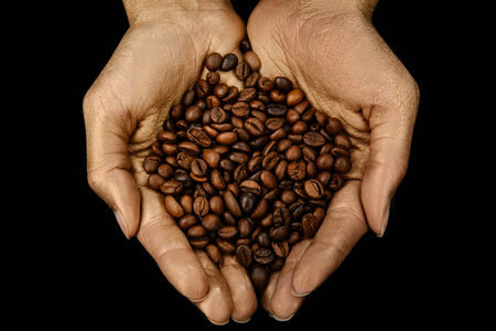 Roasted coffee beans in woman golden hands on black backgroundの写真素材