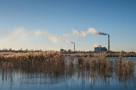 Plant on the river bank and large smoke clouds in the blue skyの写真素材